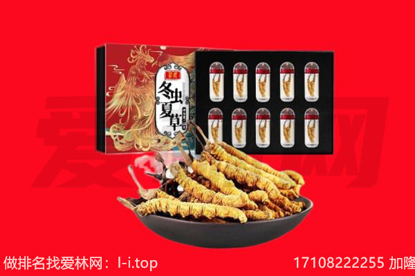 抚州回收虫草.jpg